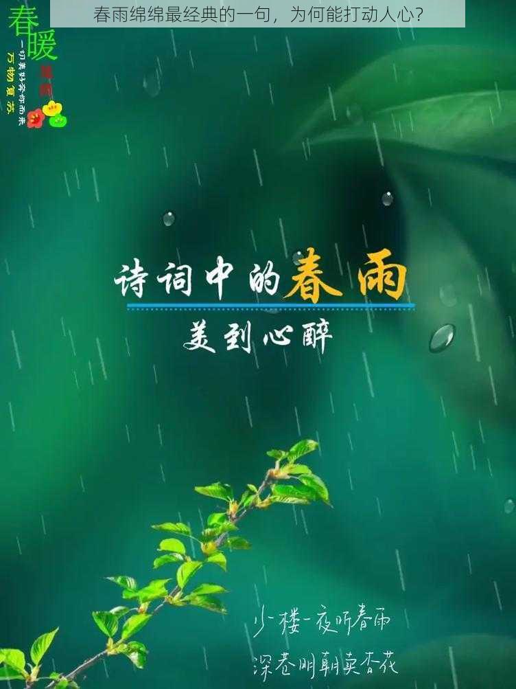 春雨绵绵最经典的一句，为何能打动人心？