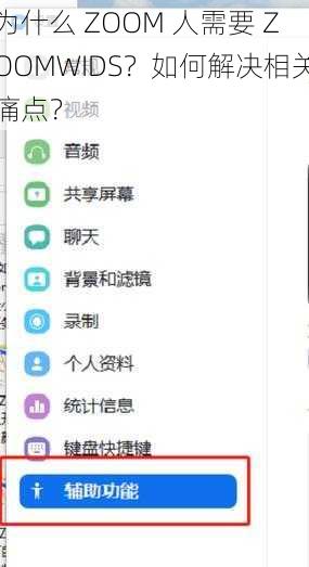 为什么 ZOOM 人需要 ZOOMWIDS？如何解决相关痛点？