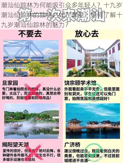 潮汕仙踪林为何能吸引众多年轻人？十九岁潮汕仙踪林的独特之处在哪里？如何了解十九岁潮汕仙踪林的魅力？