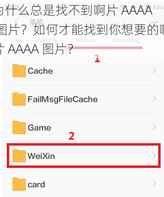 为什么总是找不到啊片 AAAA 图片？如何才能找到你想要的啊片 AAAA 图片？