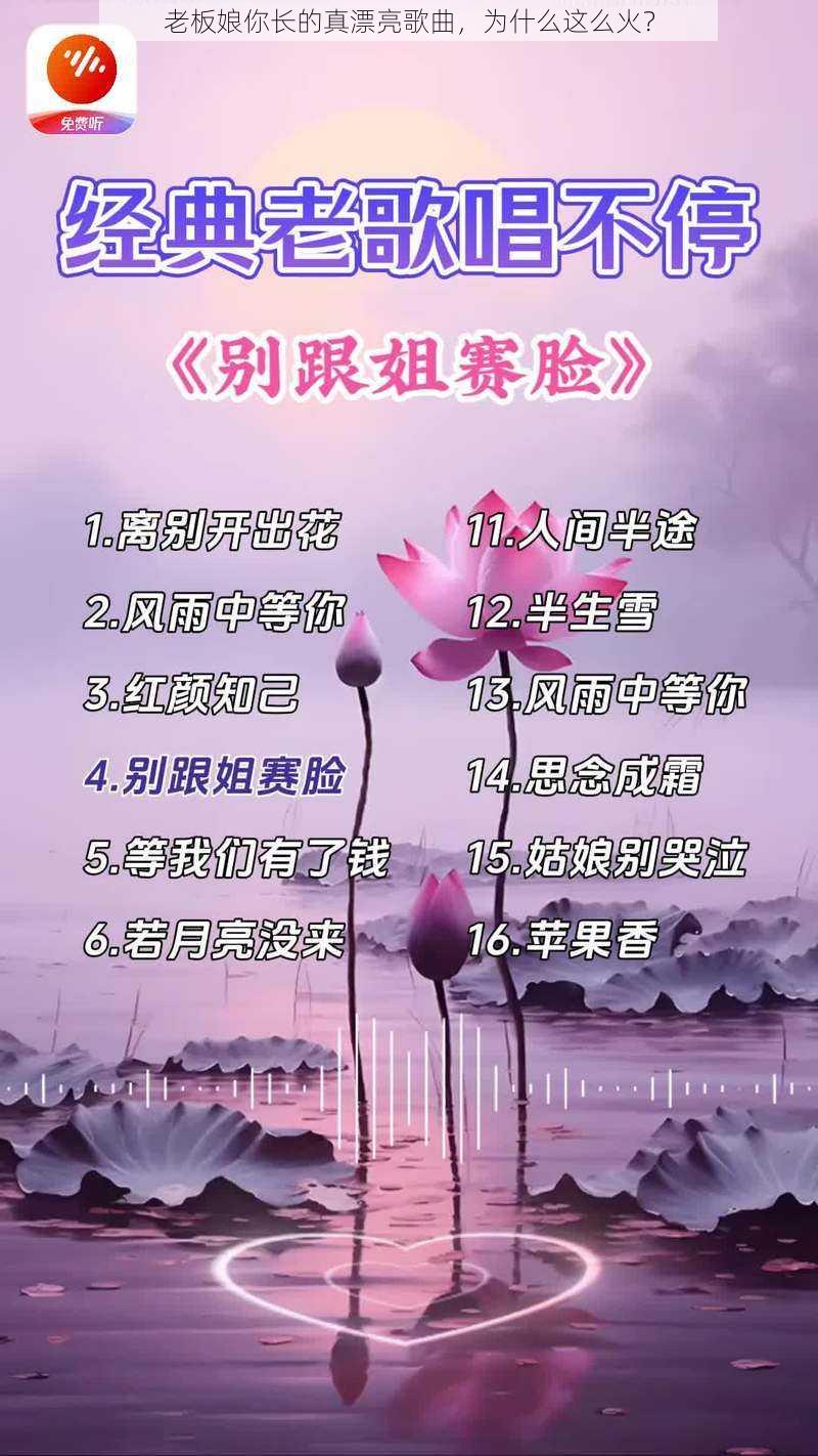 老板娘你长的真漂亮歌曲，为什么这么火？