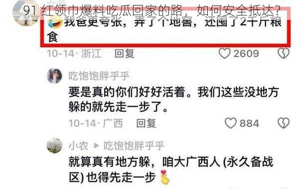 91 红领巾爆料吃瓜回家的路，如何安全抵达？