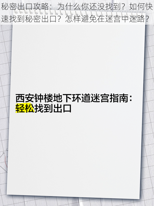 秘密出口攻略：为什么你还没找到？如何快速找到秘密出口？怎样避免在迷宫中迷路？