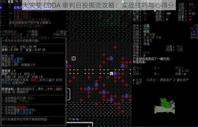 《大灾变 CDDA 审判日投掷流攻略：实战技巧与心得分享》