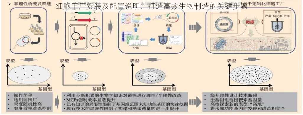 细胞工厂安装及配置说明：打造高效生物制造的关键步骤