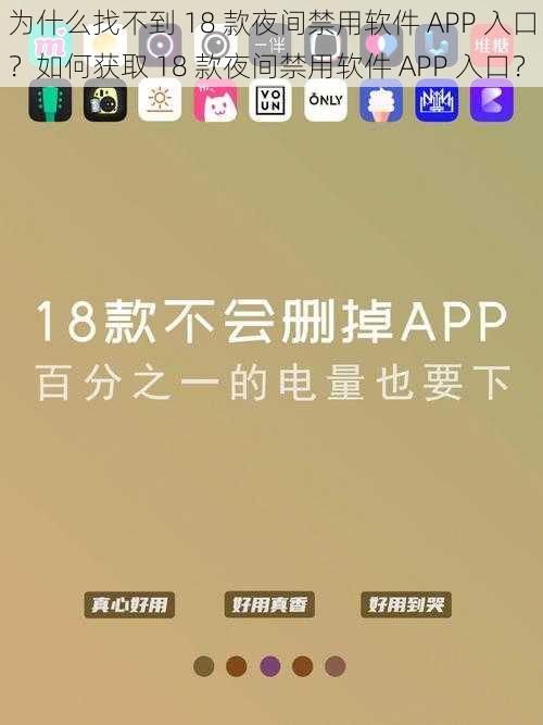 为什么找不到 18 款夜间禁用软件 APP 入口？如何获取 18 款夜间禁用软件 APP 入口？