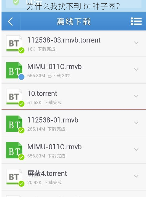 为什么我找不到 bt 种子图？