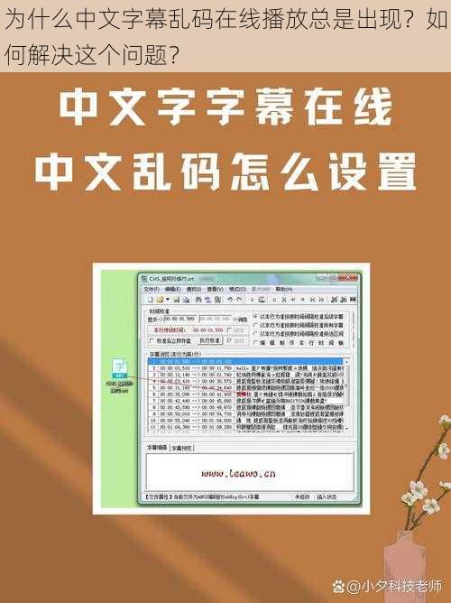 为什么中文字幕乱码在线播放总是出现？如何解决这个问题？