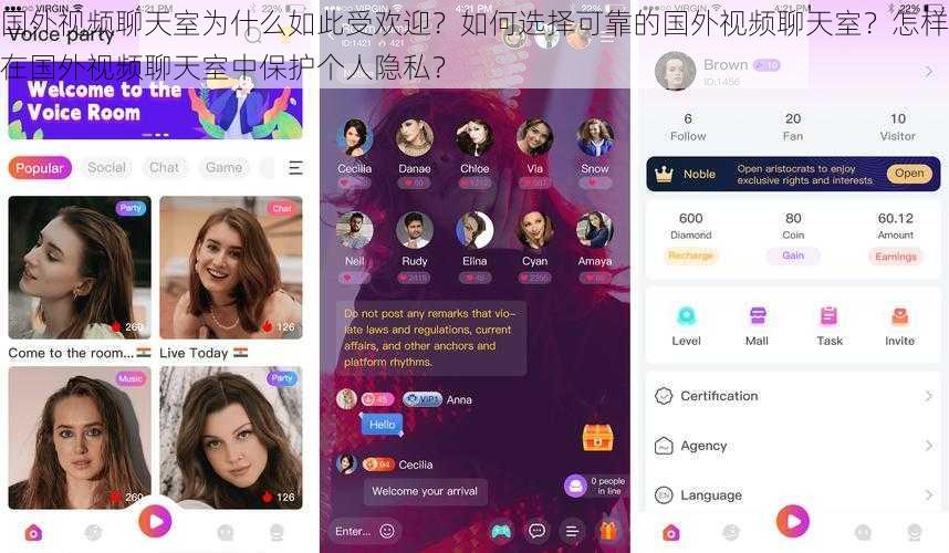 国外视频聊天室为什么如此受欢迎？如何选择可靠的国外视频聊天室？怎样在国外视频聊天室中保护个人隐私？