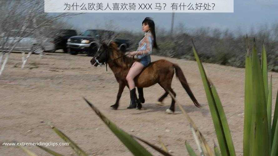 为什么欧美人喜欢骑 XXX 马？有什么好处？