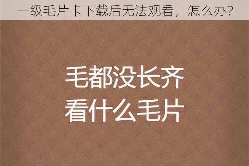 一级毛片卡下载后无法观看，怎么办？