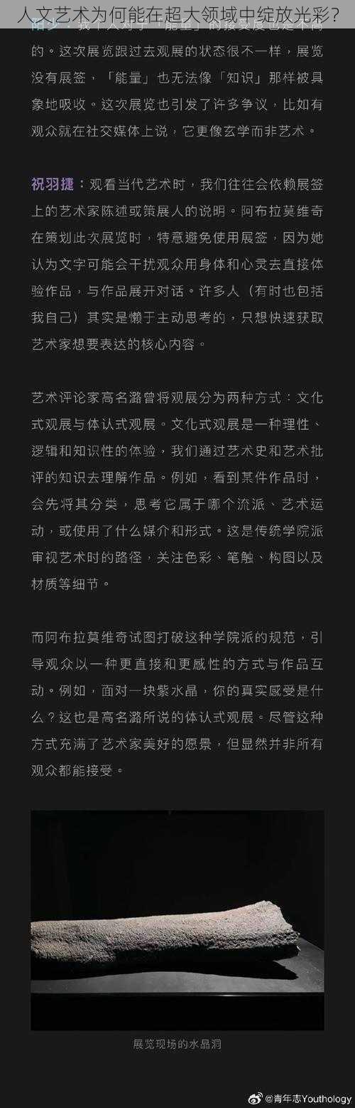 人文艺术为何能在超大领域中绽放光彩？