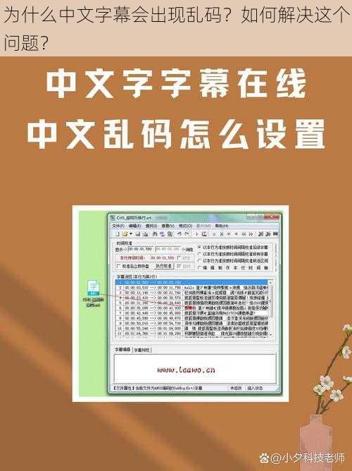 为什么中文字幕会出现乱码？如何解决这个问题？