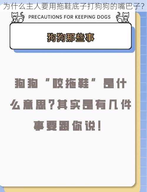 为什么主人要用拖鞋底子打狗狗的嘴巴子？