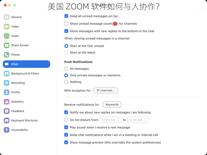 美国 ZOOM 软件如何与人协作？