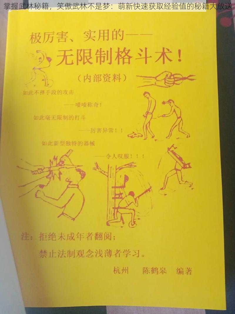 掌握武林秘籍，笑傲武林不是梦：萌新快速获取经验值的秘籍大放送