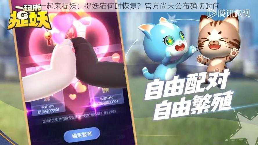 一起来捉妖：捉妖猫何时恢复？官方尚未公布确切时间