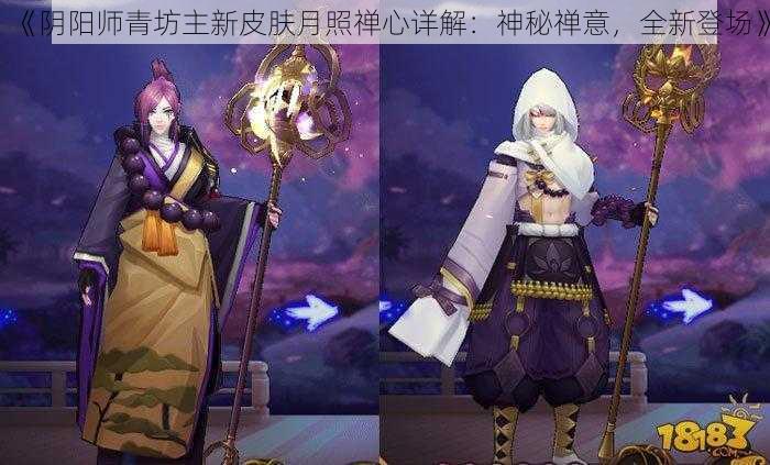 《阴阳师青坊主新皮肤月照禅心详解：神秘禅意，全新登场》