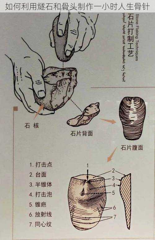 如何利用燧石和骨头制作一小时人生骨针