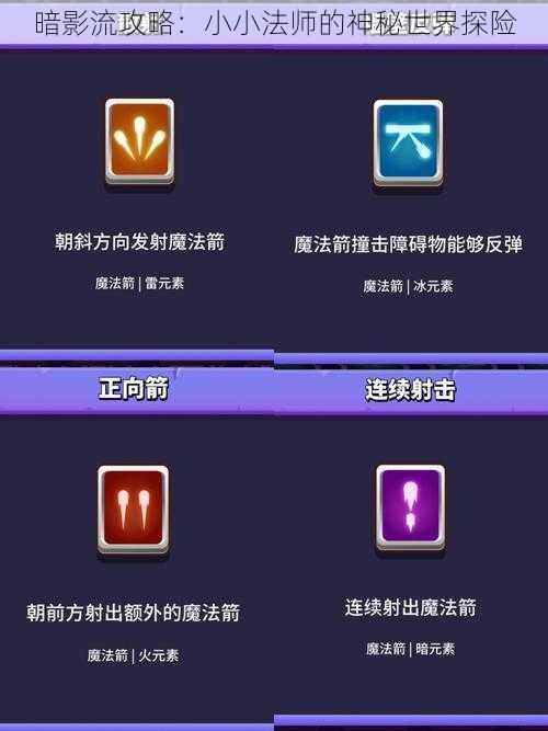 暗影流攻略：小小法师的神秘世界探险