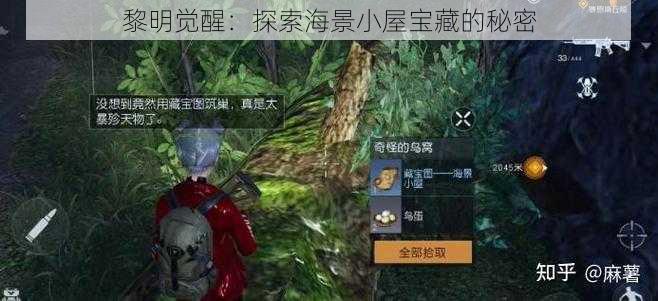 黎明觉醒：探索海景小屋宝藏的秘密