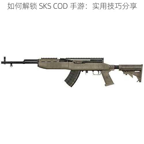 如何解锁 SKS COD 手游：实用技巧分享