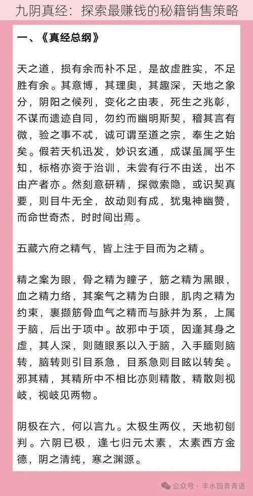 九阴真经：探索最赚钱的秘籍销售策略