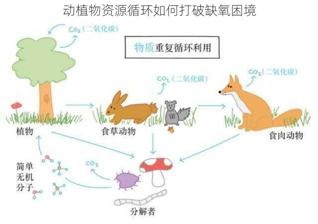 动植物资源循环如何打破缺氧困境